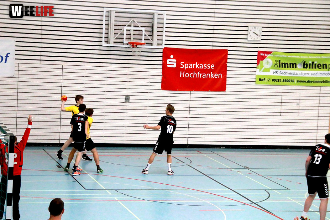 Handball Landesliga-Quali