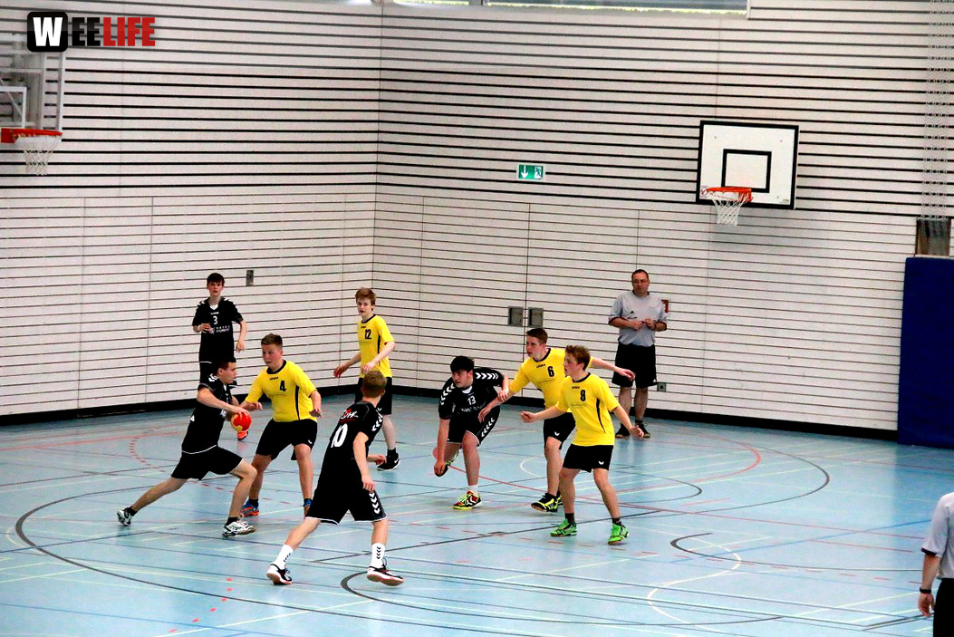Handball Landesliga-Quali