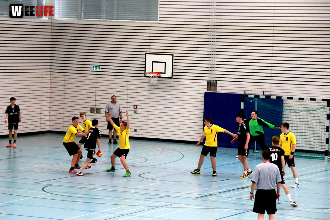 Handball Landesliga-Quali