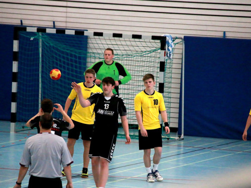 Handball Landesliga-Quali – Foto 83