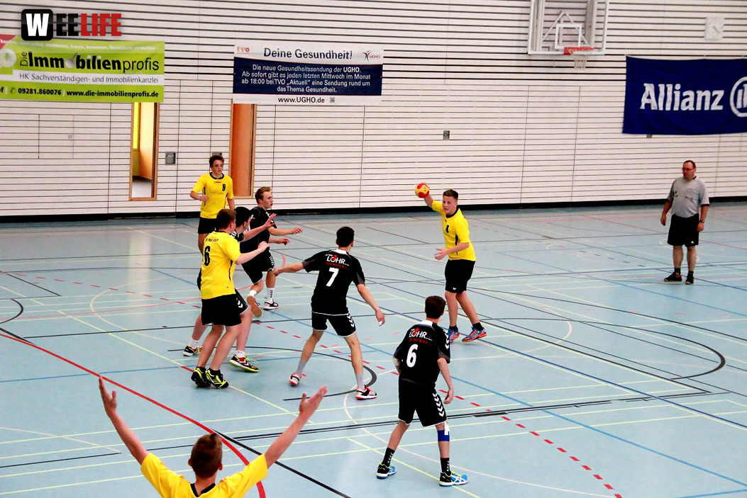 Handball Landesliga-Quali