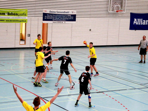 Handball Landesliga-Quali – Foto 86