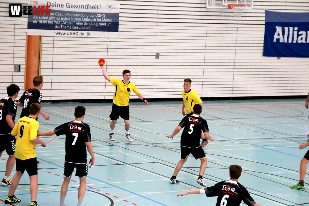 Handball Landesliga-Quali