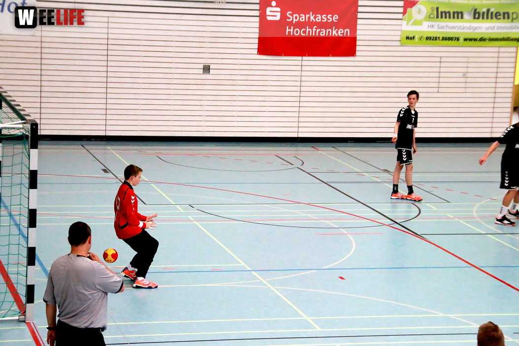 Handball Landesliga-Quali
