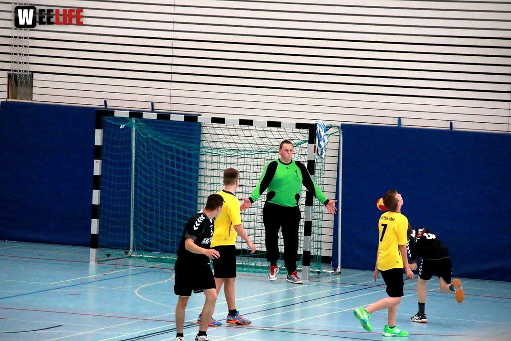 Handball Landesliga-Quali