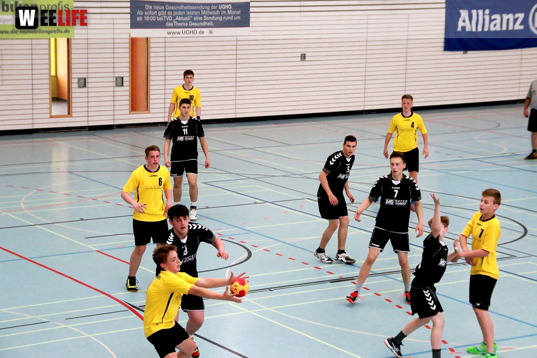 Handball Landesliga-Quali