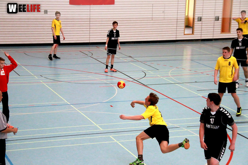 Handball Landesliga-Quali
