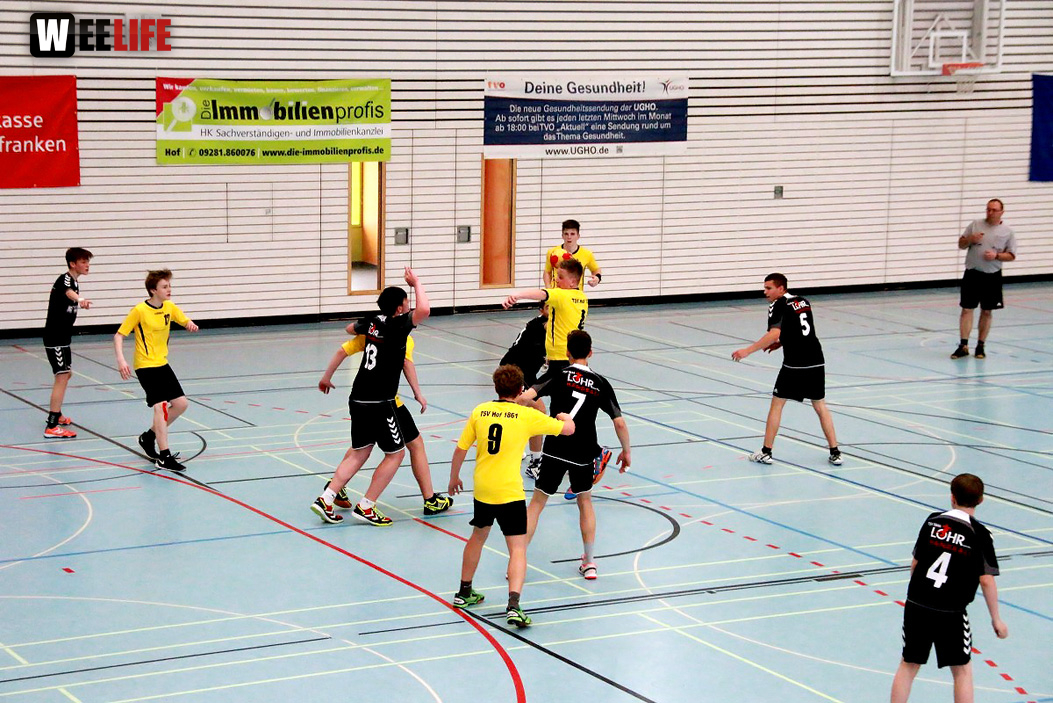 Handball Landesliga-Quali