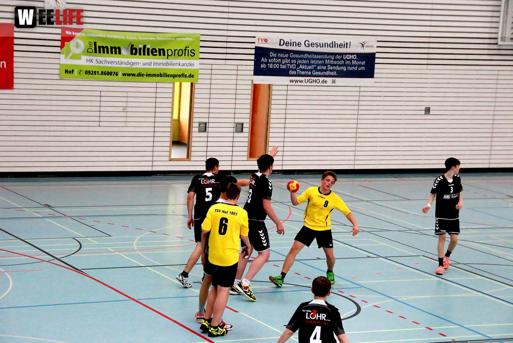 Handball Landesliga-Quali