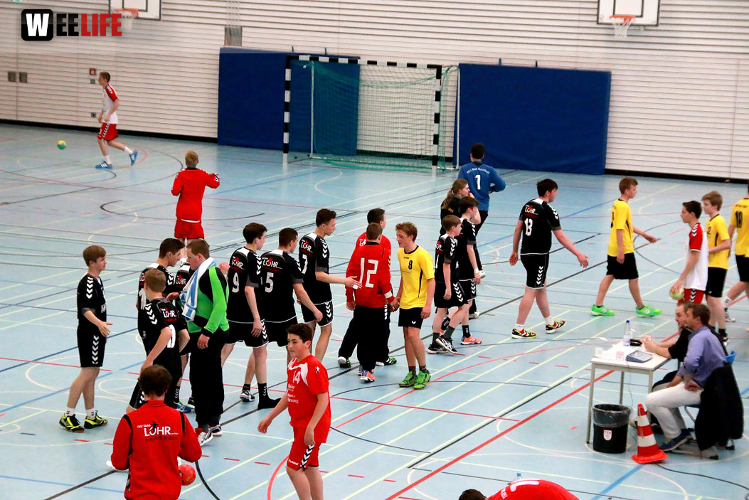 Handball Landesliga-Quali
