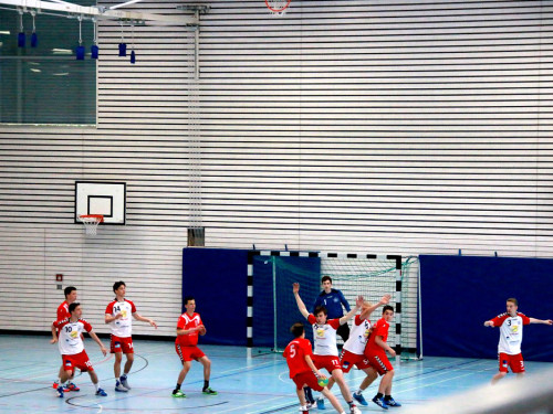 Handball Landesliga-Quali – Foto 108