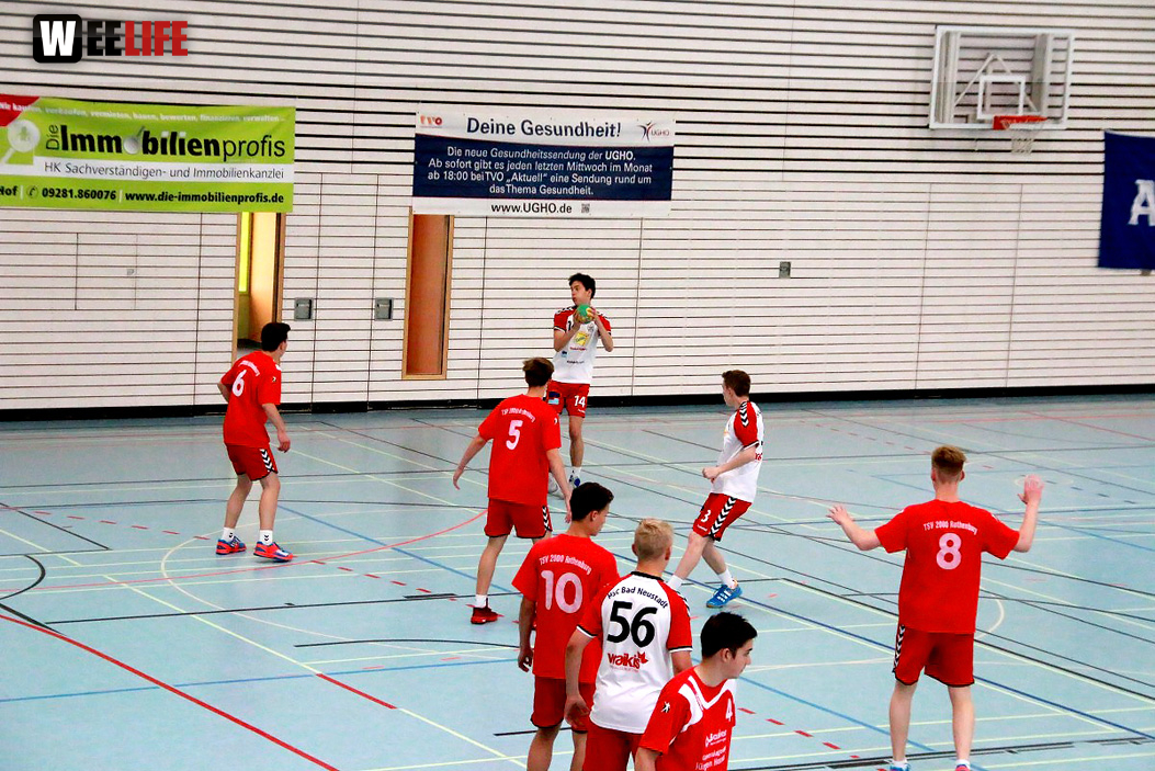 Handball Landesliga-Quali