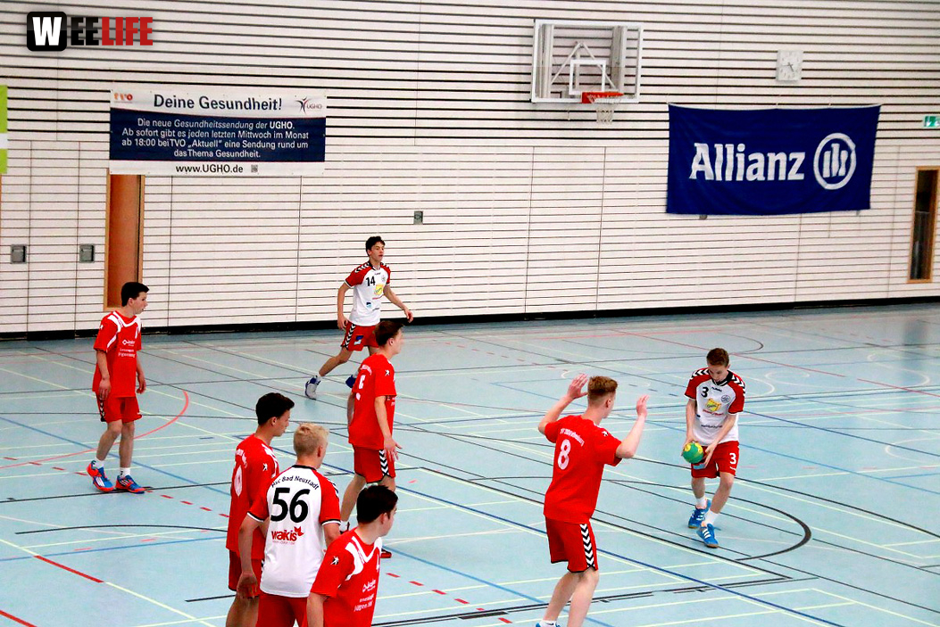 Handball Landesliga-Quali