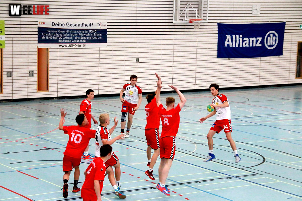 Handball Landesliga-Quali