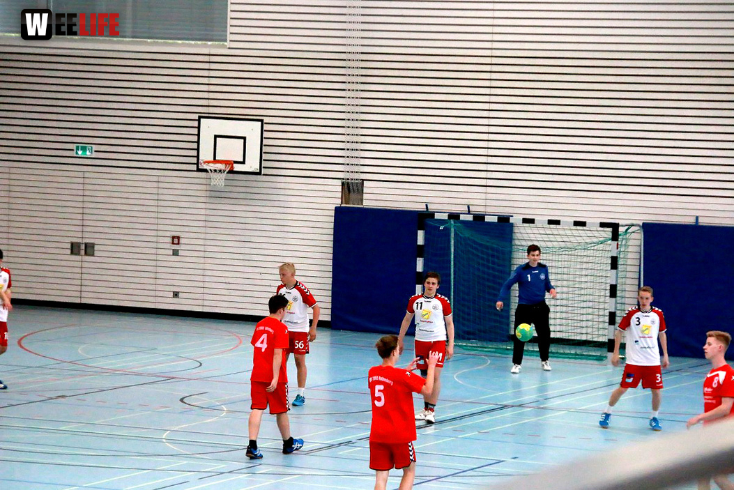 Handball Landesliga-Quali