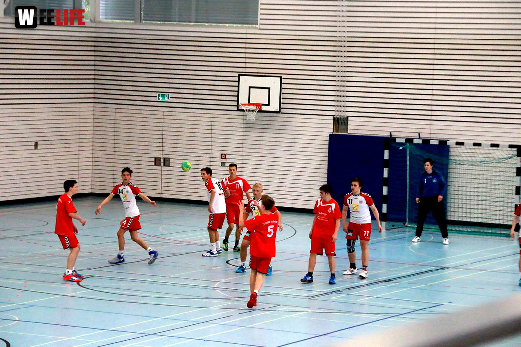 Handball Landesliga-Quali