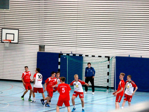 Handball Landesliga-Quali – Foto 116