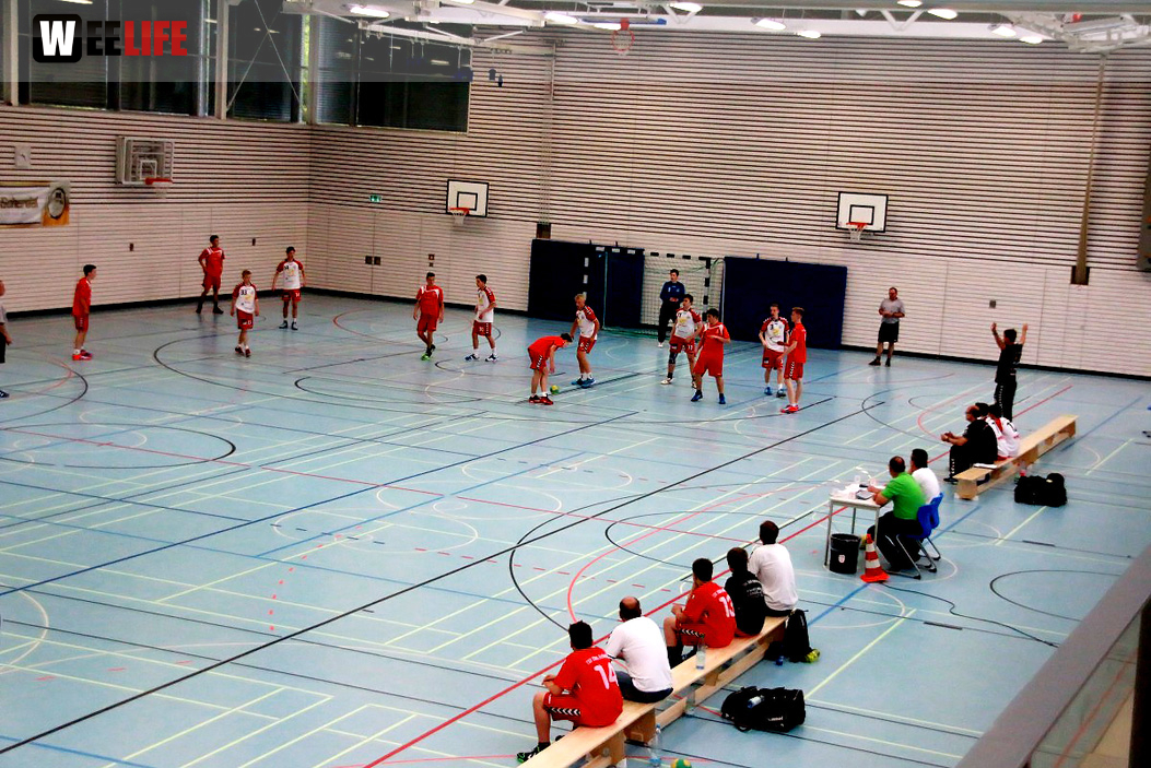 Handball Landesliga-Quali