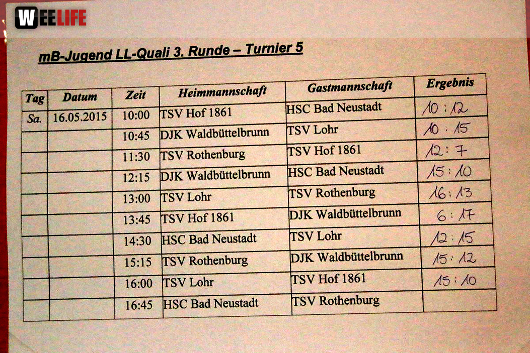 Handball Landesliga-Quali