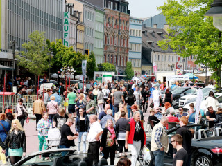 Foto 131777 im Album