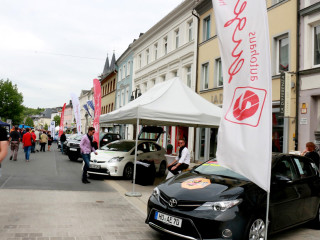 Vorschau des vorherigen Fotos