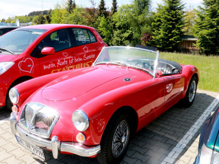 Foto 132225 im Album