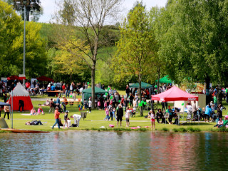 Foto 132350 im Album
