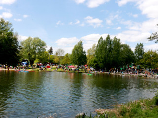 Foto 132351 im Album