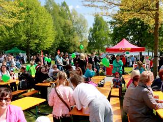 Foto 132377 im Album