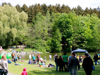 Foto 132399 im Album