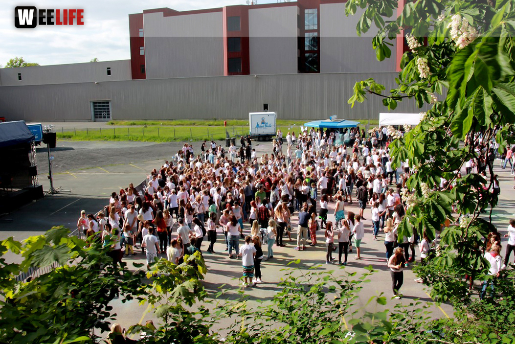 holi Hof 2015 Teil1