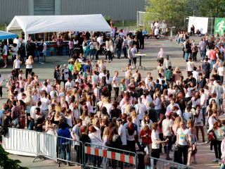 Foto 132781 im Album