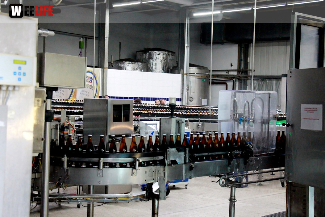 Scherdelbrauerei Führung Schlappentag 2015 Festprogramm