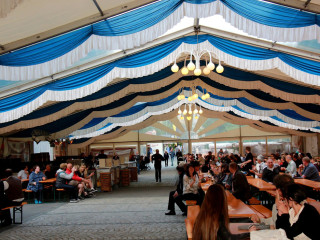 Foto 133806 im Album