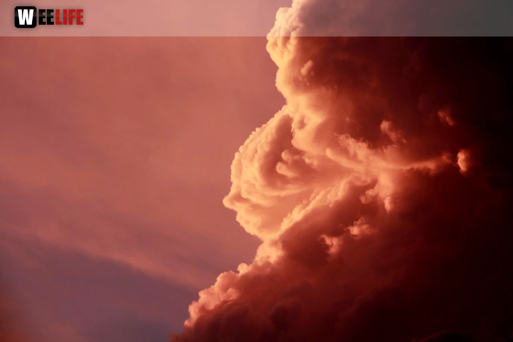 Gewitter