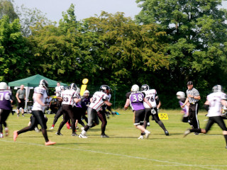 Foto 135089 im Album