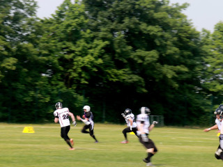Foto 135115 im Album