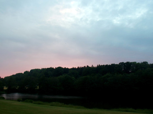 Naturbilder  – Foto 2