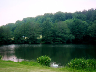 Foto 135240 im Album