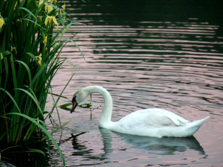 Foto 135241 im Album