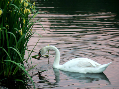 Naturbilder  – Foto 4