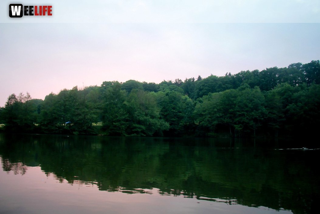 Naturbilder 