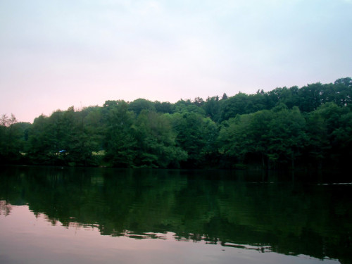Naturbilder  – Foto 7