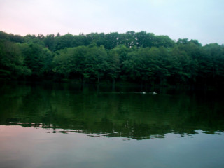 Foto 135245 im Album