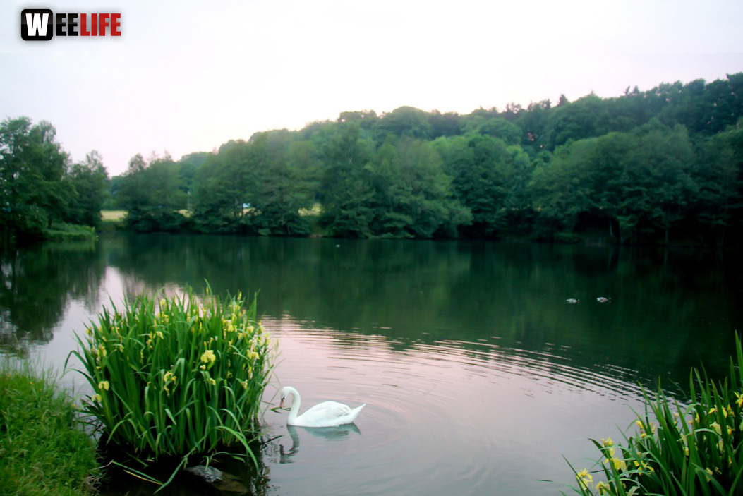 Naturbilder 