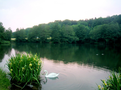 Naturbilder  – Foto 9