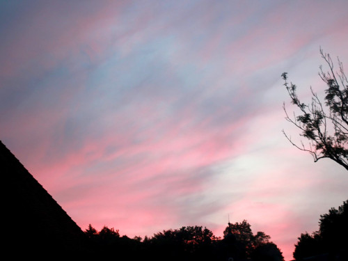 Abendstimmung – Foto 8