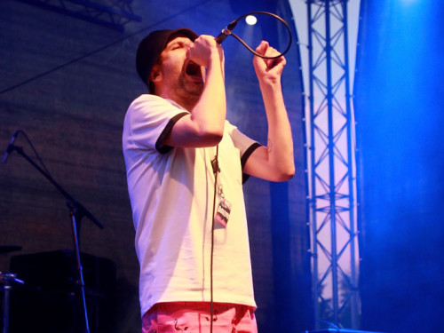 IN.DIE.musik Festival Teil 2 Trümmer Egotronic Antilopen Gang – Foto 53