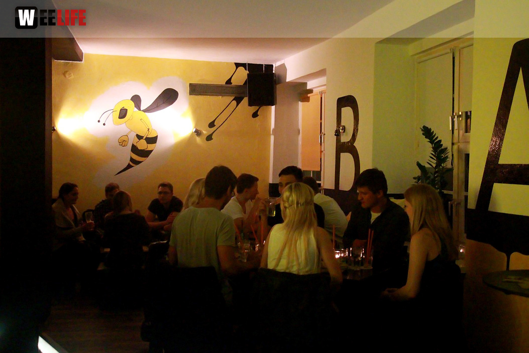Bee Party
