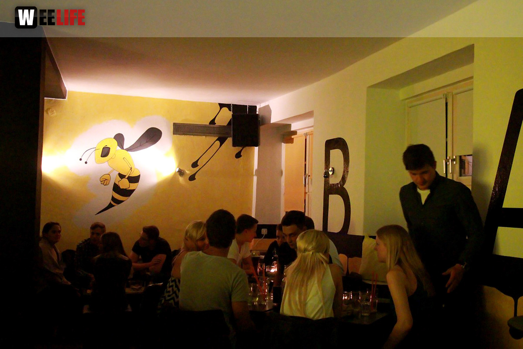 Bee Party